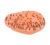 OUNONA Realistic Ear Acupoints Model for Reflexology Learning Acupuncture Training Prop Anatomical Zones for Teaching and Massage