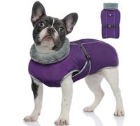 OUOBOB Small Dog Jacket - Winter, Snow Puppy Coat - Reflective, Warm, Windproof, Purple Fleece Lined Snowsuit for Dachshunds