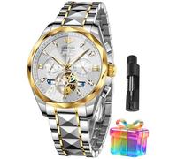 OUPINKE Men's Watches Automatic Skeleton Self-Winding Original Mechanical Gold Luxury Sapphire Crystal Dress Gifts Wrist Watches, G3316: Two tone band & White dial, Luxury Business Casual Classic