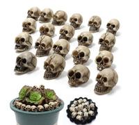 Ouqrret Halloween Mini Skulls Decorations, Simulation Skull 20 Pcs of Ornaments Creative Flower Pots Micro Landscape Skull Paving Stone, Skulls for Potted Plants Halloween Handmade DIY Decoration