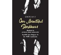 Our Beautiful Darkness: A Graphic Novel