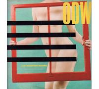 Our Daughter's Wedding - Moving Windows