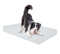 our fave Refrigerating Pet Mat Velutinous Cool Technology Dog Puss Season Bed Not Deadly Strong Plan Compact for Home Travel Transportable Dog Puss Pillow