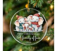 Our First Christmas As A Family of Four Ornament 2025, Elephant Family Christmas Acrylic Ornament, Baby's First Christmas, New Parents Gifts for Mom Dad, Newborn Girls Boys Ornaments Xmas Tree Decor