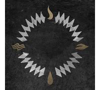 Our Hollow Our Home - Burn In The Flood (Deluxe) Ink Spot Gold/Black - Colored 2 Vinyl