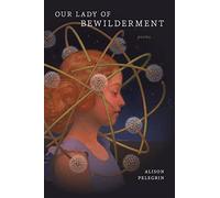 Our Lady of Bewilderment: Poems (Barataria Poetry)