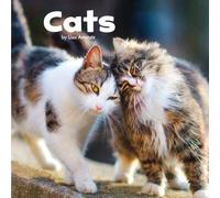 Our Pets: Cats