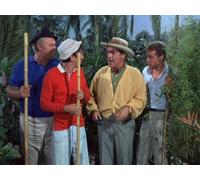 Our Vines Have Tender Apes