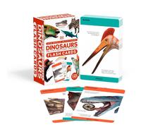 Our World in Pictures Dinosaurs and Other Prehistoric Creatures Flash Cards