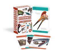 Our World in Pictures Dinosaurs and Other Prehistoric Creatures Flash Cards