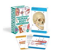 Our World in Pictures Human Body Flash Cards