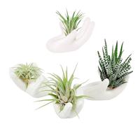 ourhommie Air Plant Holder Cute Ceramic Airplants Tillandsia Succulent Display Container Pot Home Decor for Desk Table Shelf (4pcs)