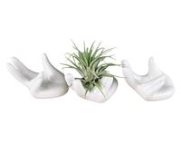 ourhommie Air Plant Holder Cute Ceramic Airplants Tillandsia Succulent Display Container Pot Home Decor for Desk Table Shelf (3pc)