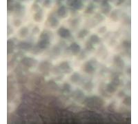 Carlos Cipa - Ourselves, as we are [VINYL]