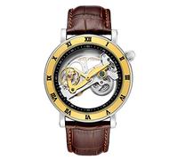 Ourui Men's Watches,Creative Full Hollow Through The Bottom Fully Automatic Mechanical Watch Trendy Men's Watch, Leather Belt Brown Gold