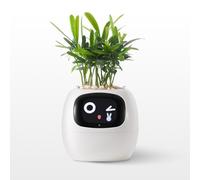 OUSEITECH Cute Smart Small Flower Pot, Interactive Flower Pot, Multifunctional intelligent， Big Data With 7 Sensors To Assist In Planting, for Succulents and Other Small Plants (white)