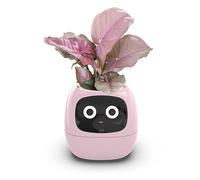 OUSEITECH Cute Smart Small Flower Pot, Interactive Flower Pot, Multifunctional intelligent, Big Data With 7 Sensors To Assist In Planting, for Succulents and Other Small Plants (pink)