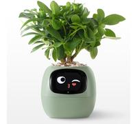 OUSEITECH Cute Smart Small Flower Pot, Interactive Flower Pot, Multifunctional intelligent， Big Data With 7 Sensors To Assist In Planting, for Succulents and Other Small Plants