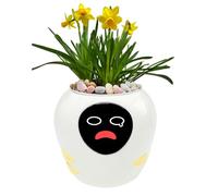 OUSEITECH Upgraded Large Smart Pet Flower Pot, Planting Assistant With Lively Expressions For Plants To Converse With You, Various plant care data, Moisture/Soil/Light/Temperature Monitoring