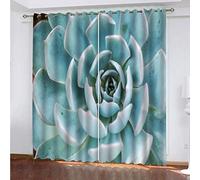 OUSIKA Curtains Eyelet Green Succulent Plant Print Pattern Blackout Room Darkening 62x78Inch Window Drapes For Living Room Bedroom 2 Panels Treatment Set Thermal Insulated Grommet Top