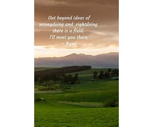 Out beyond ideas: Out beyond ideas of wrongdoing and rightdoing there is a field. I'll meet you there. Rumi Journal