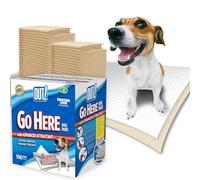 OUT! Go Here Absorbent Pet and Puppy Training Pads 100 Disposable Pads. 53 x 55cm. 5 Layer Leak-Proof Odour-Control Non-Slip -100 Pads white