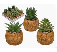 Out of the blue Decorative Imitation Succulent (Cactus) In Concrete Pot - Single