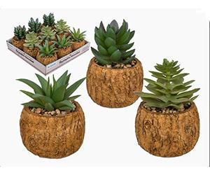 Out of the blue Decorative Imitation Succulent (Cactus) In Concrete Pot - Single