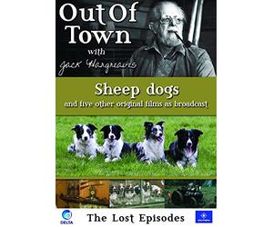 Out Of Town: The Lost Episodes - Sheep Dogs [DVD]