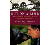 Out on a Limb: What Black Bears Taught Me About Intelligence and Intuition