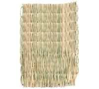 Outanaya 5pcs Breathable Mats for Guinea Pig and Cat, Green Small Animal Bedding with Chew Function, Summer Cooling Mat Suitable for Rabbit and Hamster Houses