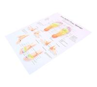 Outanaya Foot Reflexology Chart Poster on Canvas with Stain-resistant Surface for Schools and Examination Rooms