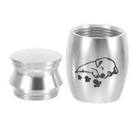 Outanaya Medium Silver Alloy Pet Urn Box for Dog and Cat Ashes, Memorial Cremation Keepsake Jar, Suitable for Small to Medium Pets, Funeral Ashes Container for Home Display