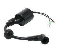 Outboard Motor Ignition Coil Parts Compatible With 4HP 5HP Models 4 4A 4C 5 5C 5CS MS LH CMHS MHS MHL Fits 6E0 85570 00 6E0 85570 02