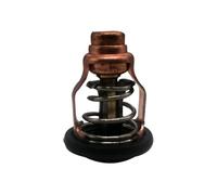 Outboard Motor Thermostat Fit For 4 Stroke F80B F100D 6D9-12411-00 6D9-12411 6D9-12411-00-00