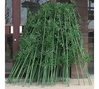 Outdoor Artificial Bamboo Tree - 70 Lifelike Bamboos 200cm/78.7in Fake Bamboo Plant for Garden Privacy Fence Screen & Indoor Home Office Decor.