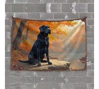 Outdoor Bar Decor Black Labrador Sitting On A Rock In Autumn Forest Tapestry Bed Room Asserories Man Cave Bar(75X100CM)