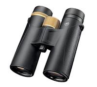 Outdoor Binoculars High Magnification High-Definition Professional Binoculars Looking for Bees and Birds to See The Scenery (10 * 42)
