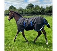 Outdoor Blanket for foals Horseware Amigo Ripstop 900D 50g