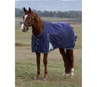 Outdoor Blanket Weatherbeeta Comfitec Plus Dynamic 100g