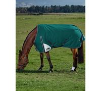 Outdoor Blanket Weatherbeeta Comfitec Plus Dynamic 220g