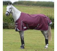 Outdoor Blanket Weatherbeeta Comfitec Plus Dynamic II 220 g