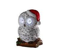 Outdoor Blinkin' Snowy Owl with White LEDs & Timer Function Samuel Alexander Grey One Size