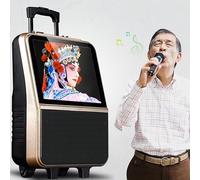 Outdoor Cart Speaker with LED Screen, WiFi & Bluetooth, Wireless Phone Charging for Parties & Events
