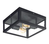 Outdoor Ceiling Light with 2 Black Lights and Glass Shade GL1297