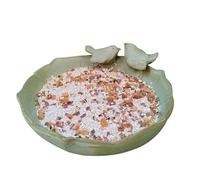 Outdoor Ceramic Bird Bath, Ceramic Bird Bath, Bird Feeding Bowl, 10 Inch Hummiingbird Water Container for Garden Deck, Decorative Parakeet Ornament