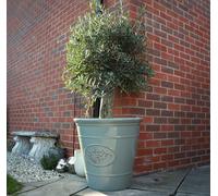 Outdoor Classic Olive Planter | Ceramic Look Round Plastic Flower Pot With Glossy Finish | Frost & UV Resistant Traditional Garden Plant Pot| Dia: 40cm, 50cm & Square | Grey (2, 50cm XL Round)