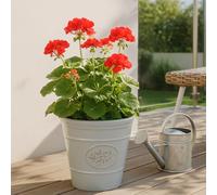 Outdoor Classic Olive Planter | Ceramic Look Round Plastic Flower Pot With Glossy Finish | Frost & UV Resistant Traditional Garden Plant Pot| Dia: 40cm, 50cm & Square | Grey (2, 30cm Medium Round)