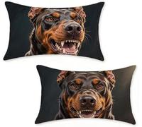 Outdoor Cushions 40x60 cm Set of 2 Black Outdoor Cushion Covers 40 x 60 Throw Pillow Covers Doberman Pinscher Decorative Pillowcase Linen Invisible Zipper HD Double Sided Printing Home Decor 8-80K3H