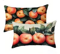 Outdoor Cushions 40x60 Set of 2 Pack, Summer Cushion Covers 16x24 inch, Fruit Decorative Oblong Throw Pillow Case, Waterproof Velvet Outdoor Cushion Covers for Summer Garden Home Decor Gifts E-680